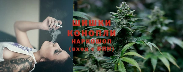 дмт Богородск