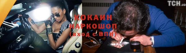 дмт Богородск