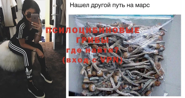 мет Богданович